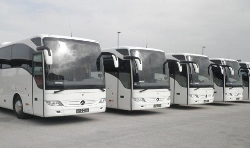 Saxony: Bus company in Grimma in Grimma and Germany