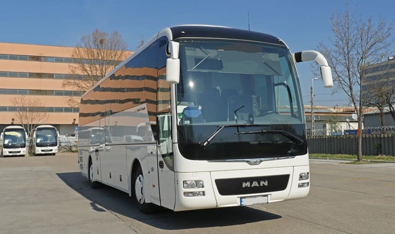 Saxony-Anhalt: Buses operator in Sangerhausen in Sangerhausen and Germany